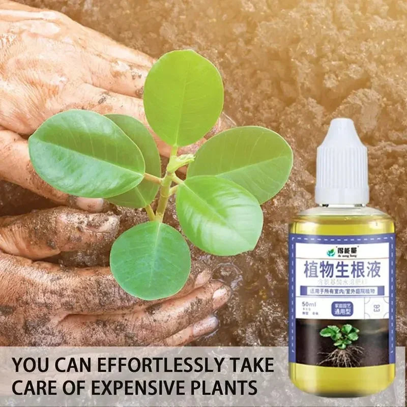 Fast Rooting Stimulator Plant Rapid Rooting Agent Root Stimulator for Plants Root Supplement for Houseplant Garden Supplies