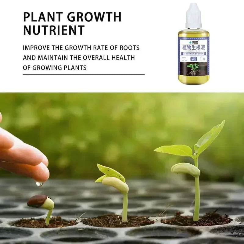 Fast Rooting Stimulator Plant Rapid Rooting Agent Root Stimulator for Plants Root Supplement for Houseplant Garden Supplies